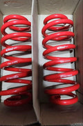 Eibach Sportline red lowering springs with visible markings