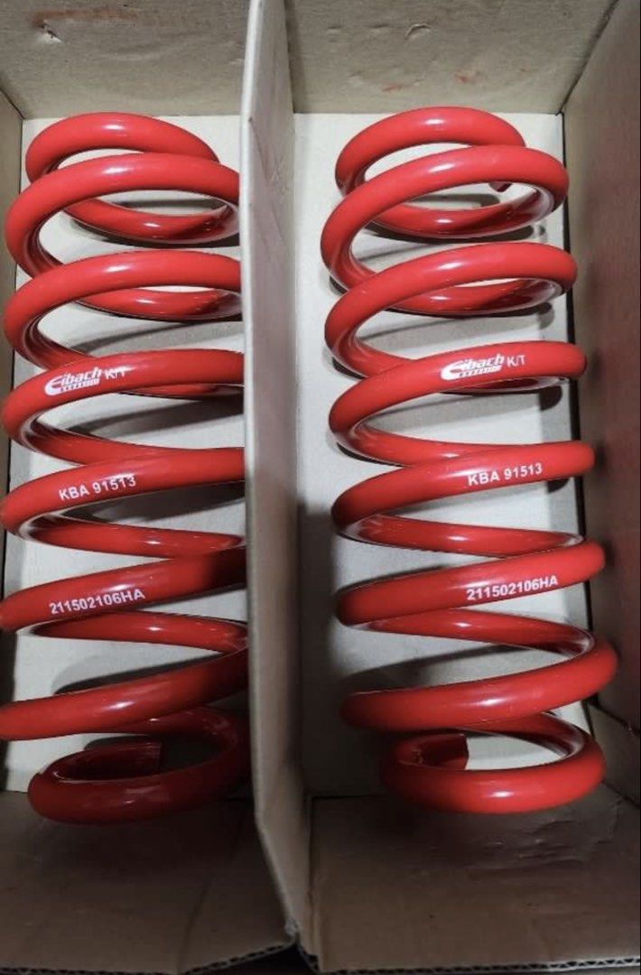 Eibach Sportline red lowering springs with visible markings